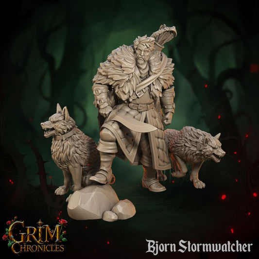 Bjorn Stormwatcher by Great Grimoire