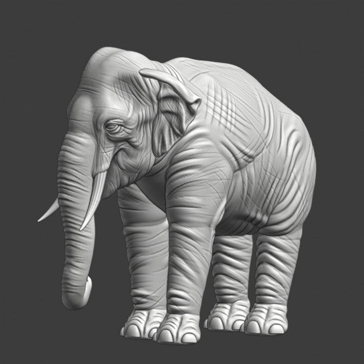 Elephant