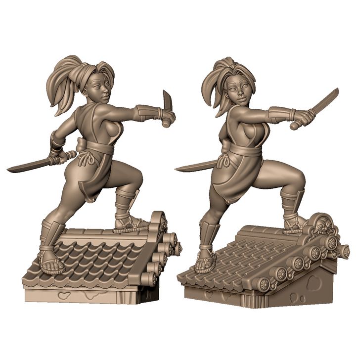 Female kunoichi with blades by Menagerie Miniature