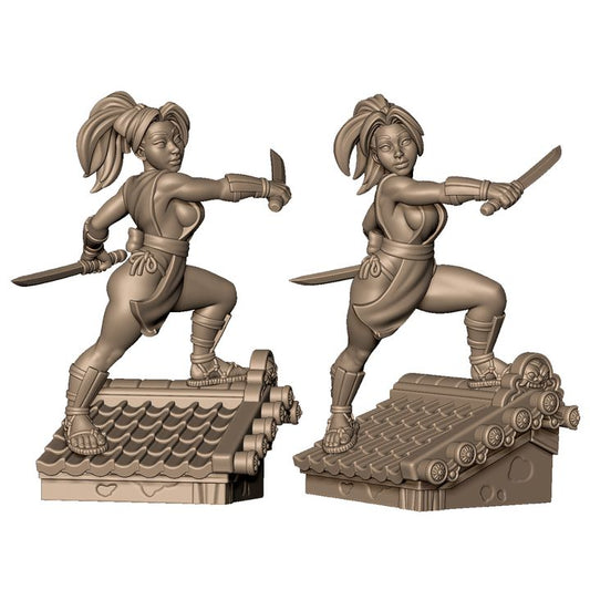 Female kunoichi with blades by Menagerie Miniature