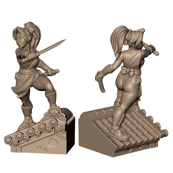 Female kunoichi with blades by Menagerie Miniature
