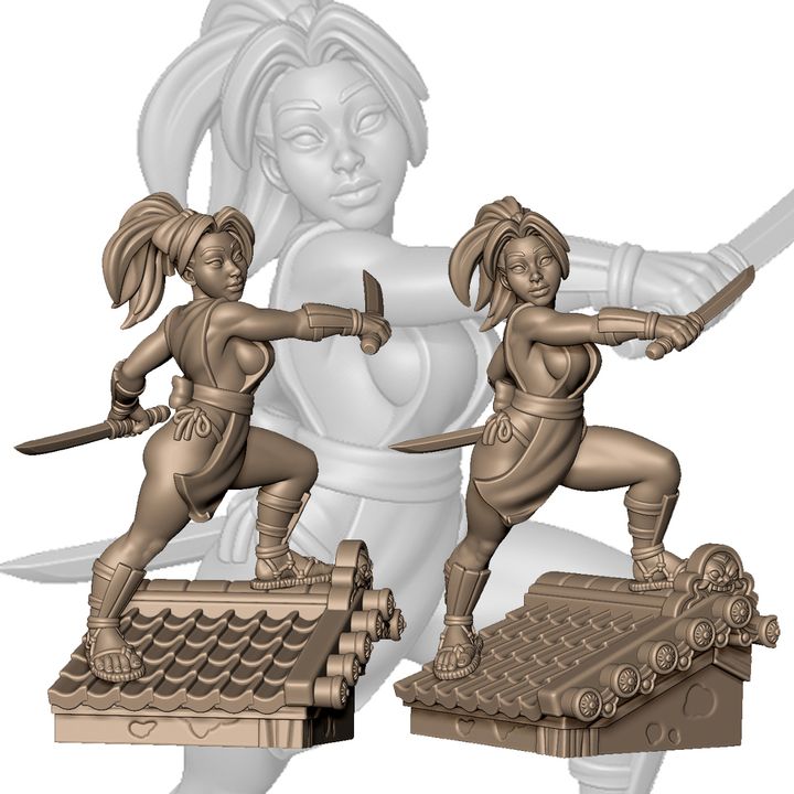 Female kunoichi with blades by Menagerie Miniature