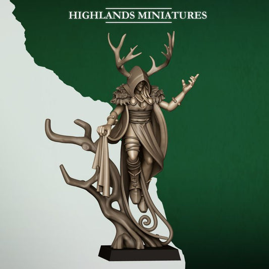 Feral Elf Druid by Highlands Miniatures