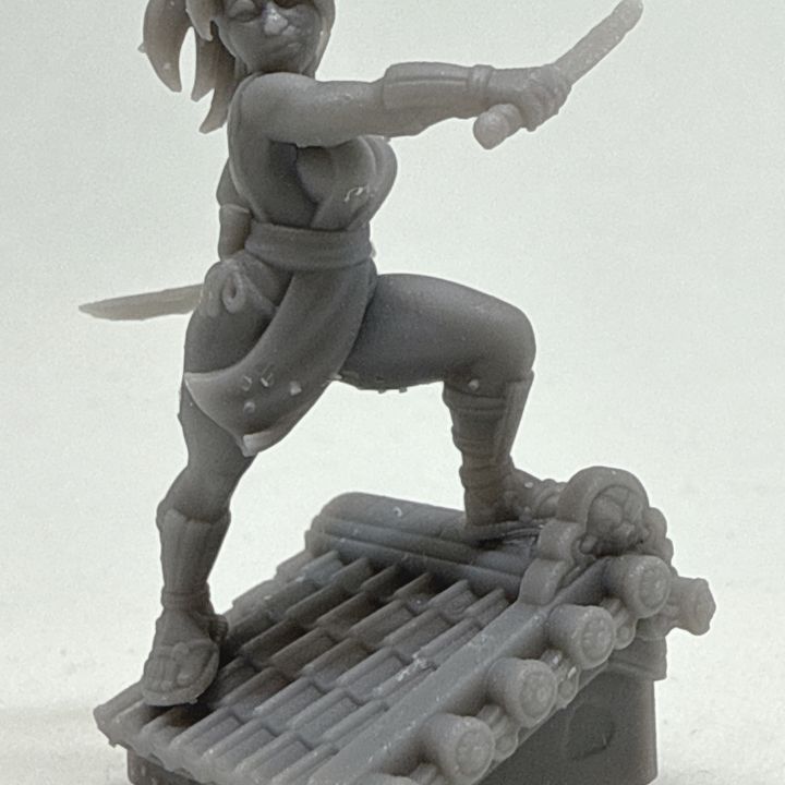 Female kunoichi with blades by Menagerie Miniature