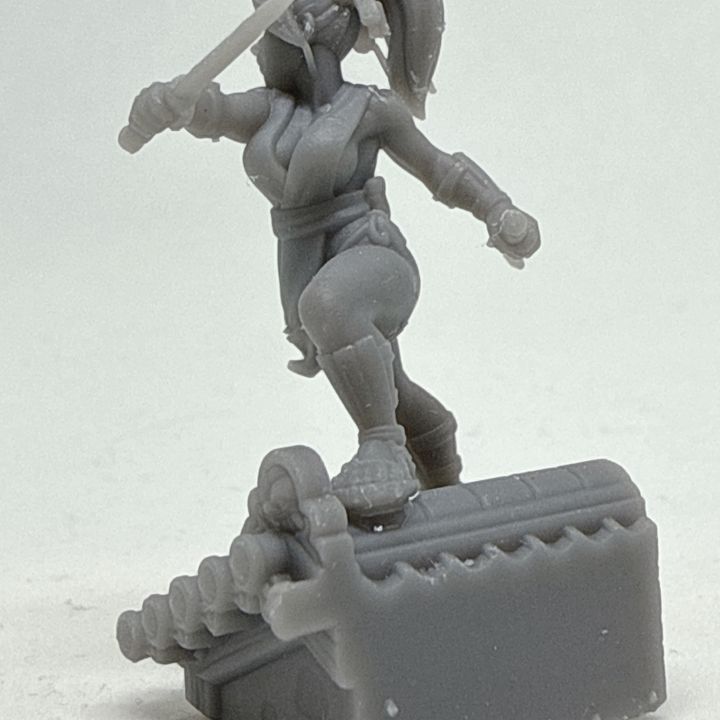 Female kunoichi with blades by Menagerie Miniature