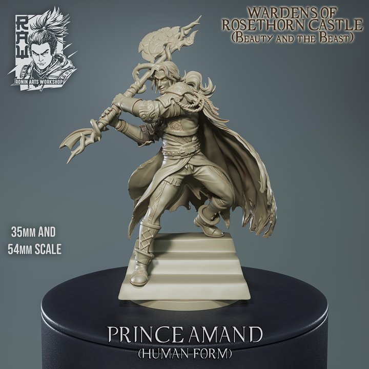 Prince Amand - Beast in Human Form - Beauty and the Beast by Ronin Arts Workshop