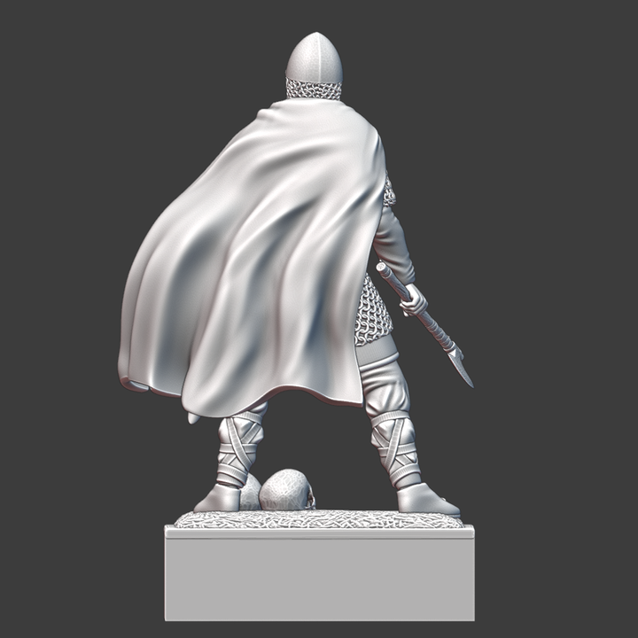 Viking Warrior - Mini-Display.
