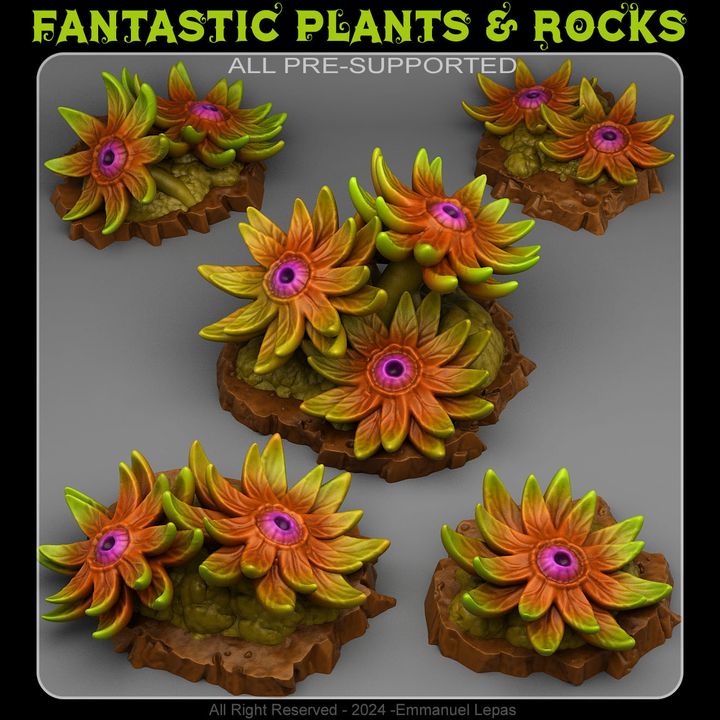 Mystic Eye Flowers by Fantastic Plants & Rocks.