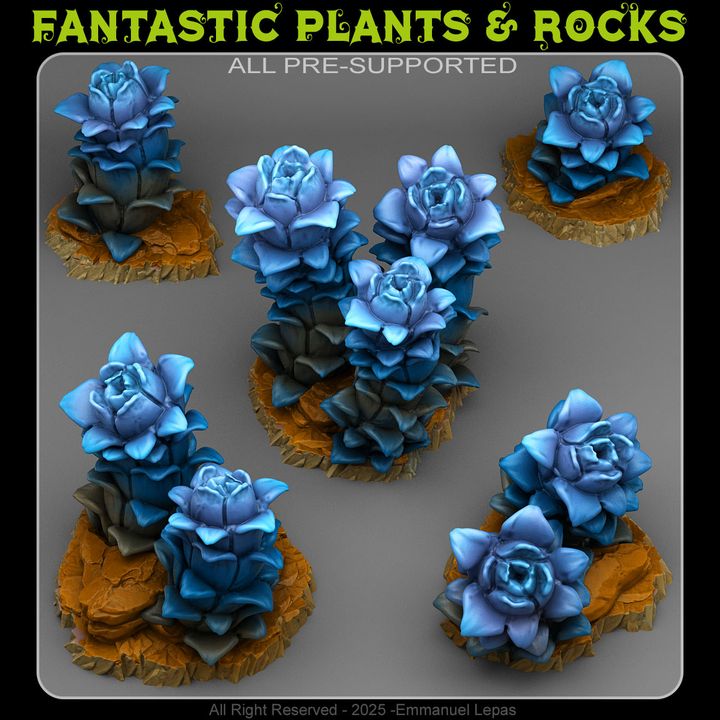 Night Desert Plants by Fantastic Plants & Rocks