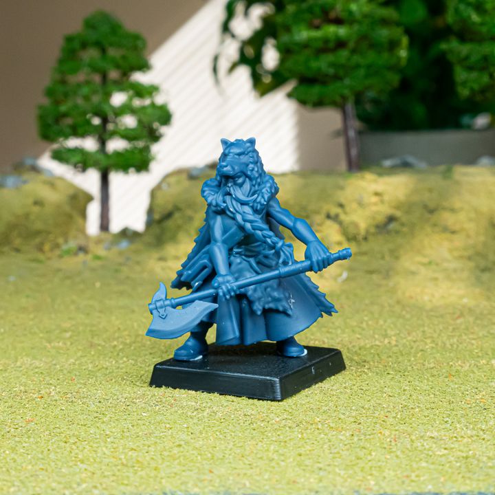 Mergenheim Druid by Highlands Miniatures