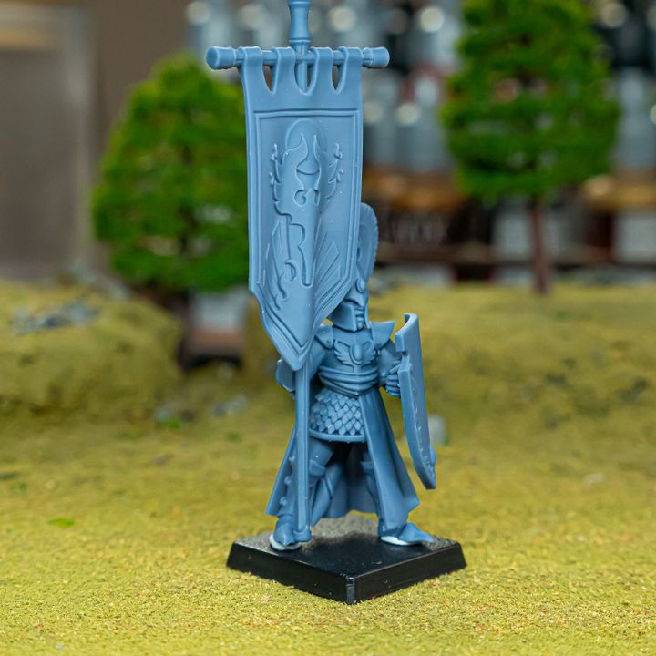 Aegean Elf with Banner by Highlands Miniatures