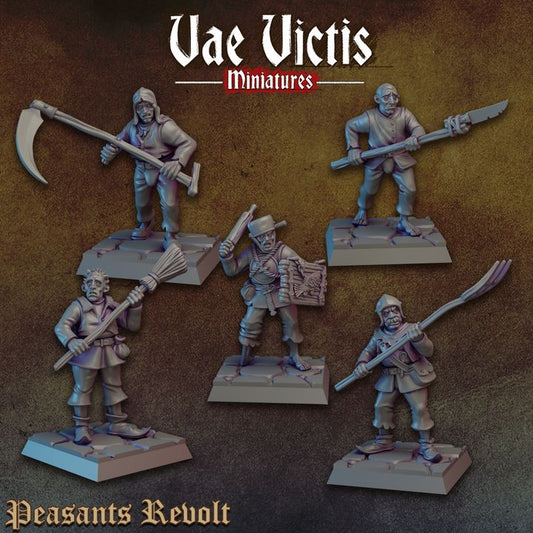 Peasants revolt 1 by Vae Victis Miniatures