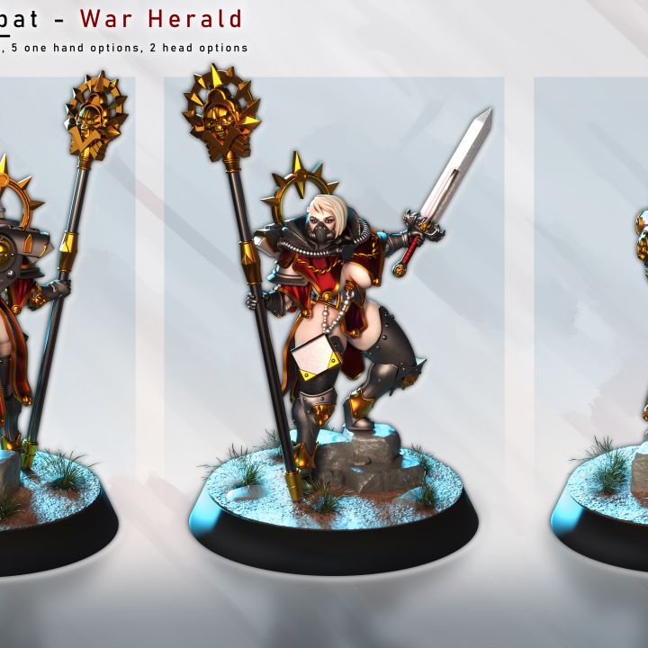 The War Herald - Siblings of Combat by Gaz Minis