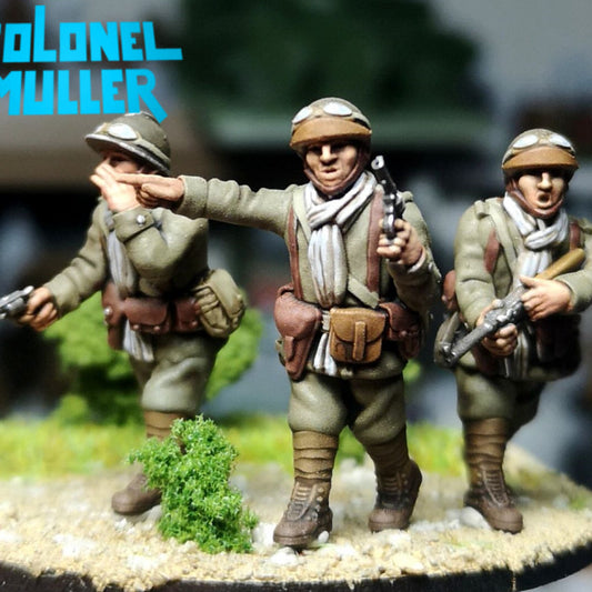 Dragons Portés NCO Group 1 by Colonel Muller