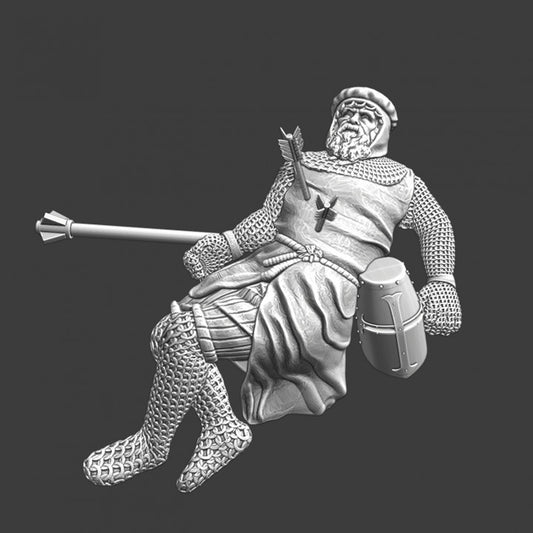 Medieval Order knight killed by arrows