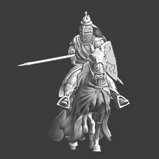 Medieval Knight Sir. Swan - charging