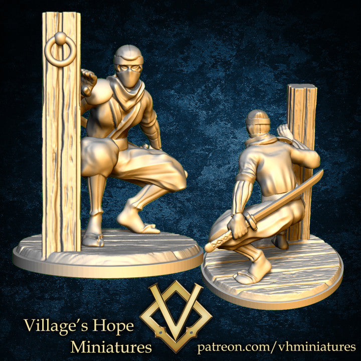 Ninja Squad by Village's Hope Miniatures