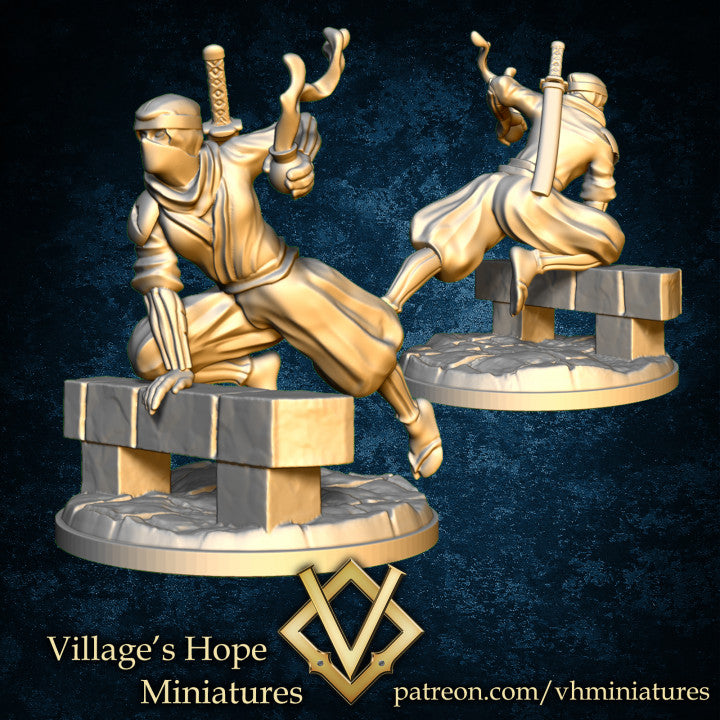 Ninja Squad by Village's Hope Miniatures