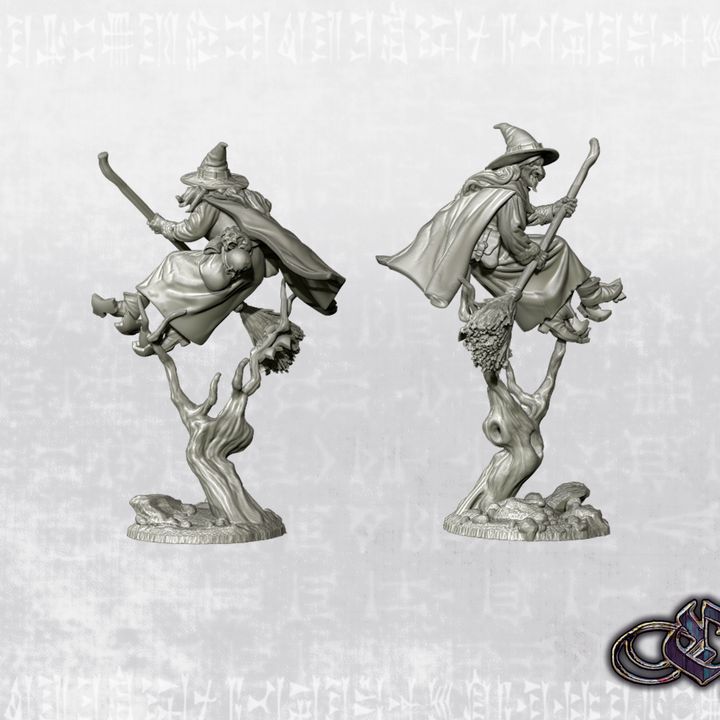“Fliying Bruxa” by Ezipion miniatures.