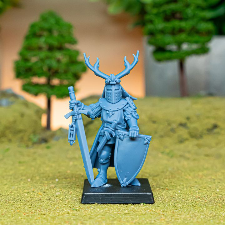 Dismounted Gallia Duke 1 - Highlands Miniatures