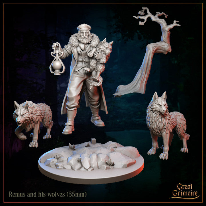 Remus and his wolves by Great Grimoire