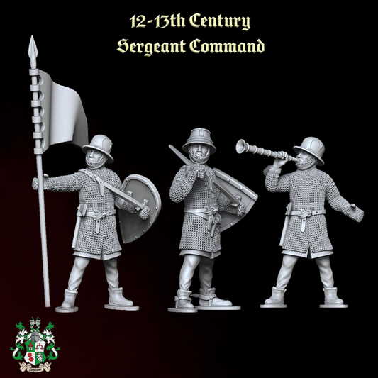 12th-13th Century Sergeant Command-Set by Styriwar