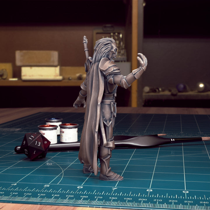 Vladimir Horngaard by Tytan Troll Miniatures
