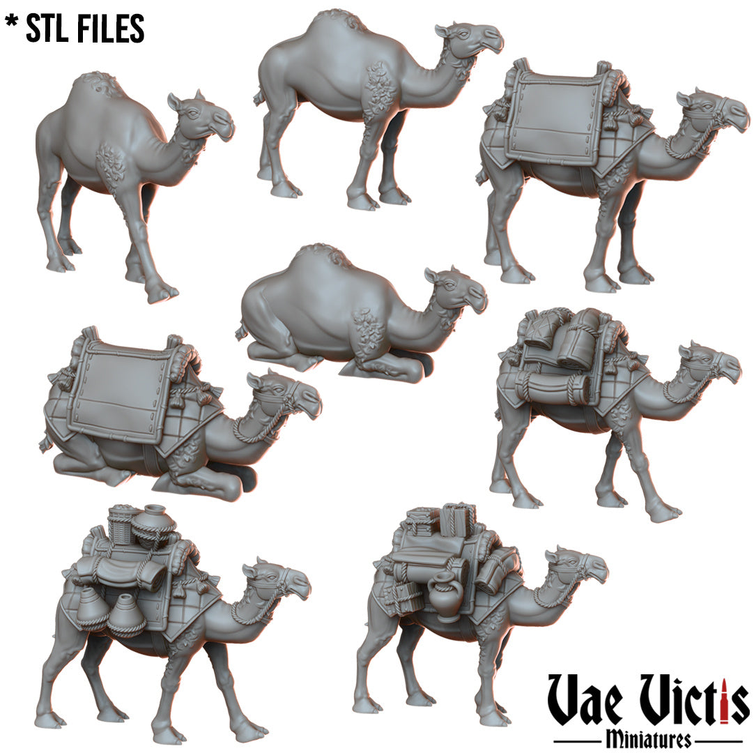 Camels by Vae Victis Miniatures