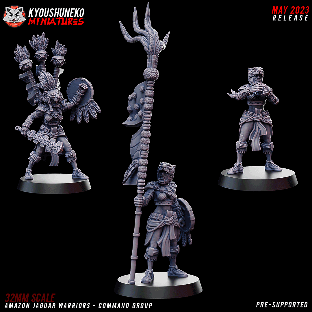 Amazon Warrior Command by Kyoushuneko Miniatures