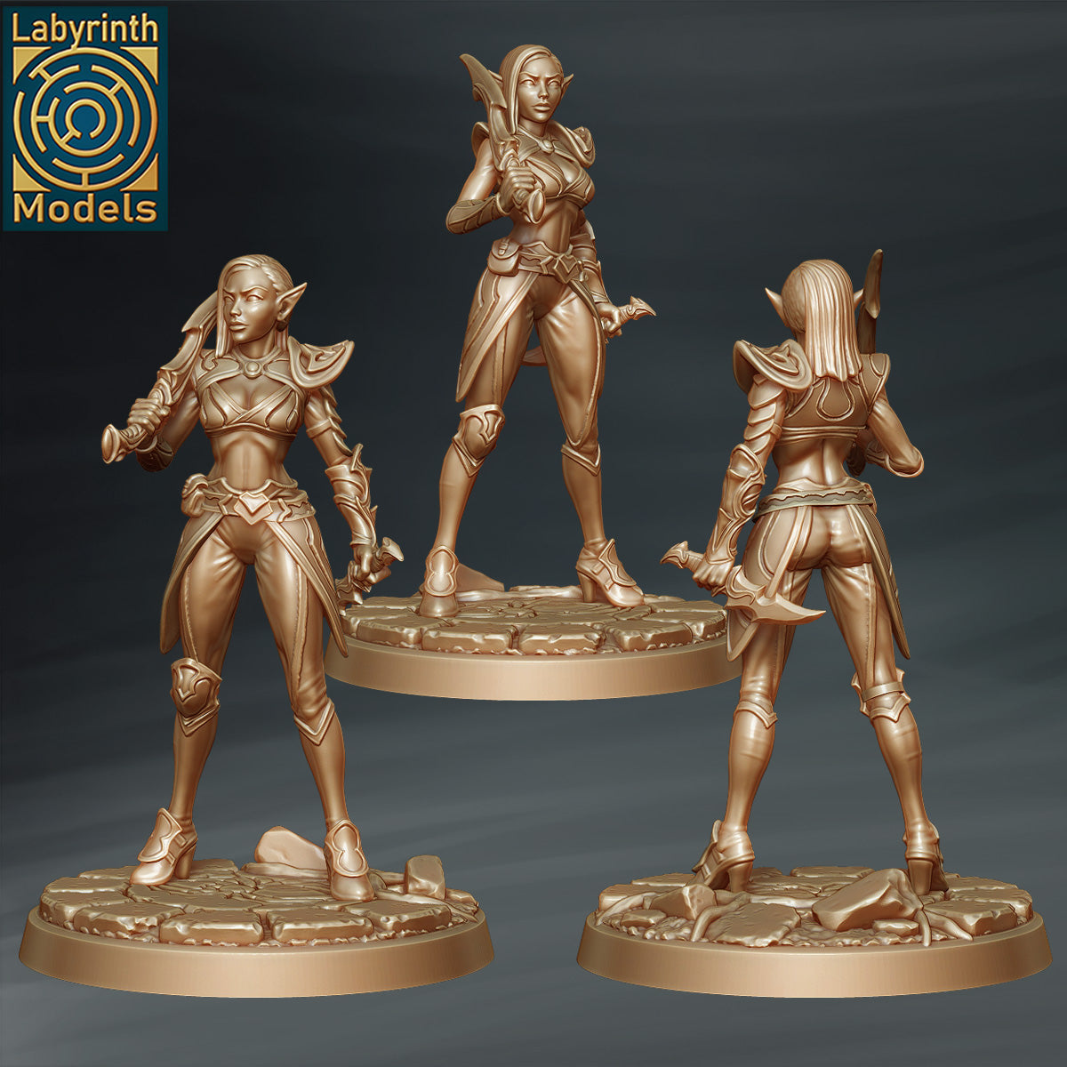 Dark Elf Bodyguard 1 by Labyrinth Models