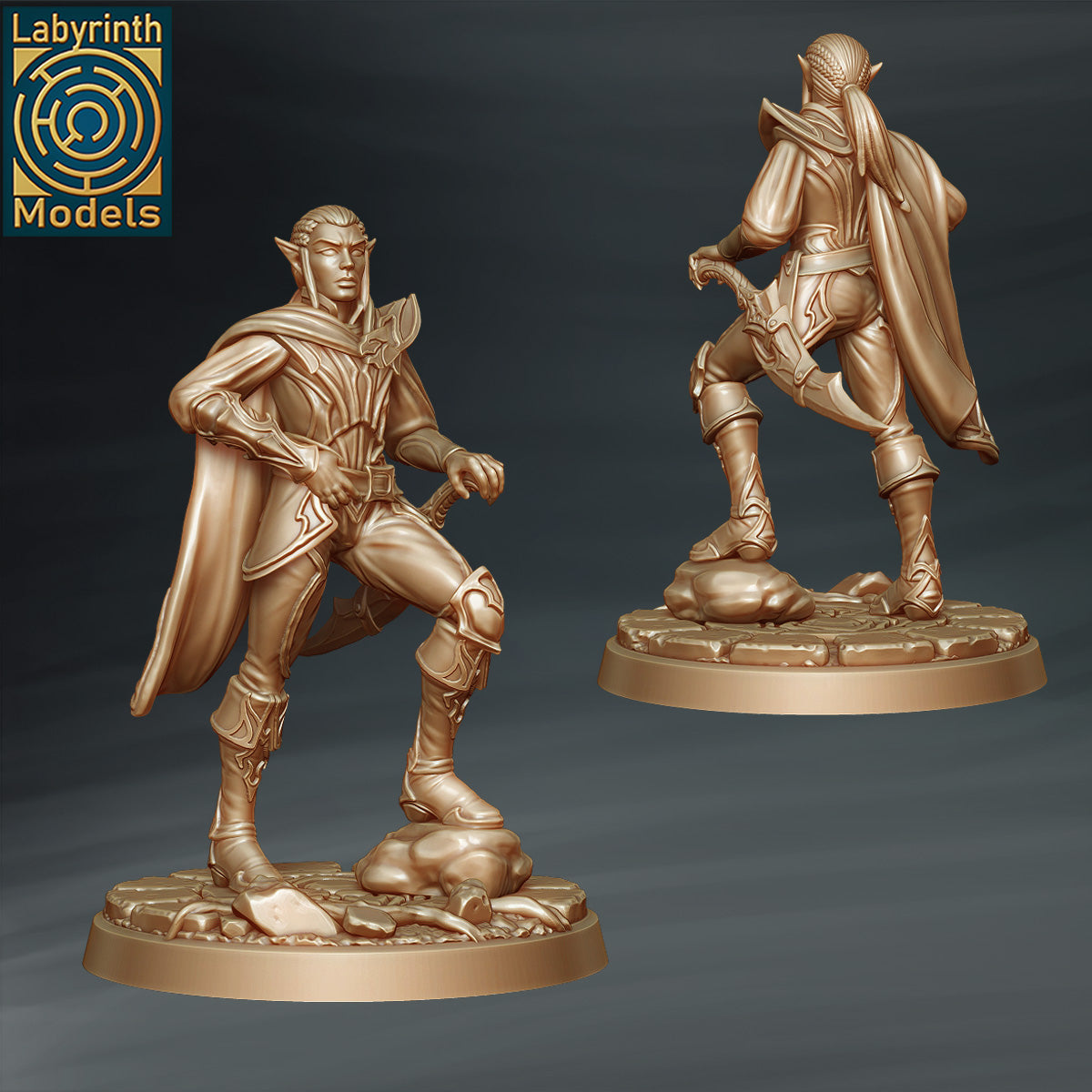 Dark Elf Bodyguard 2 by Labyrinth Models
