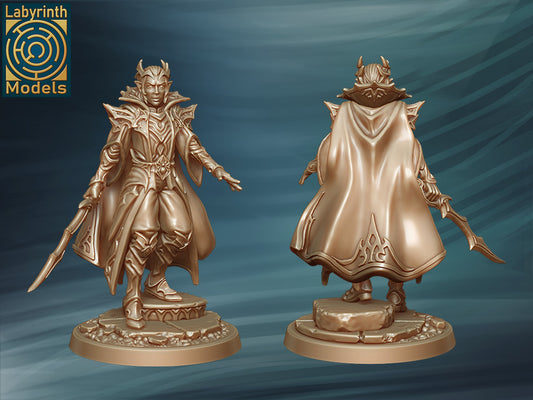 Dark Elf Prince by Labyrinth Models