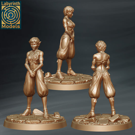 Dark Elf Servant 2 by Labyrinth Models