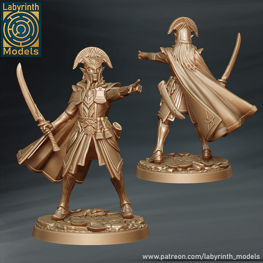 Radiant Elf Prince in Armor by Labyrinth Models