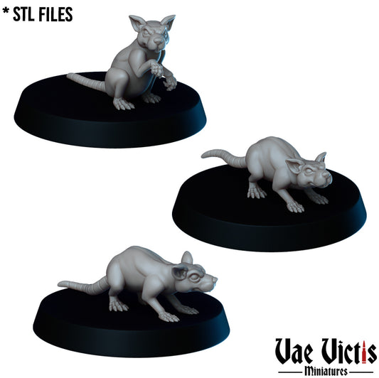 Rats by Vae Victis Miniatures