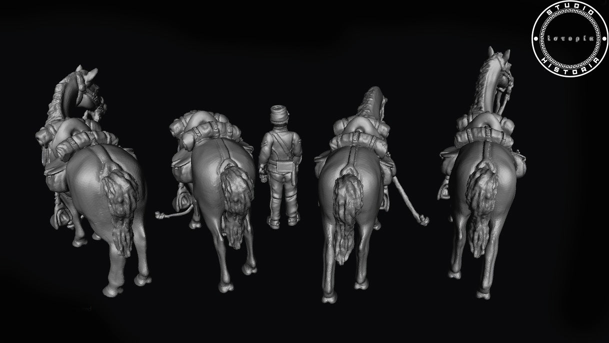 Union Horse Handler and Horses.