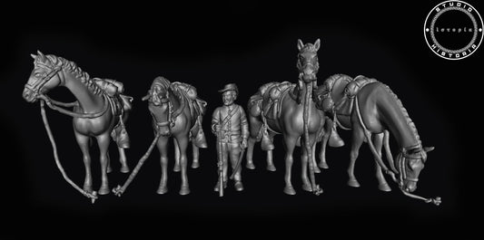 Confederate Horse Handler and Horses.