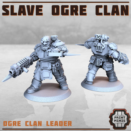 Slave Ogre Clan Leader
