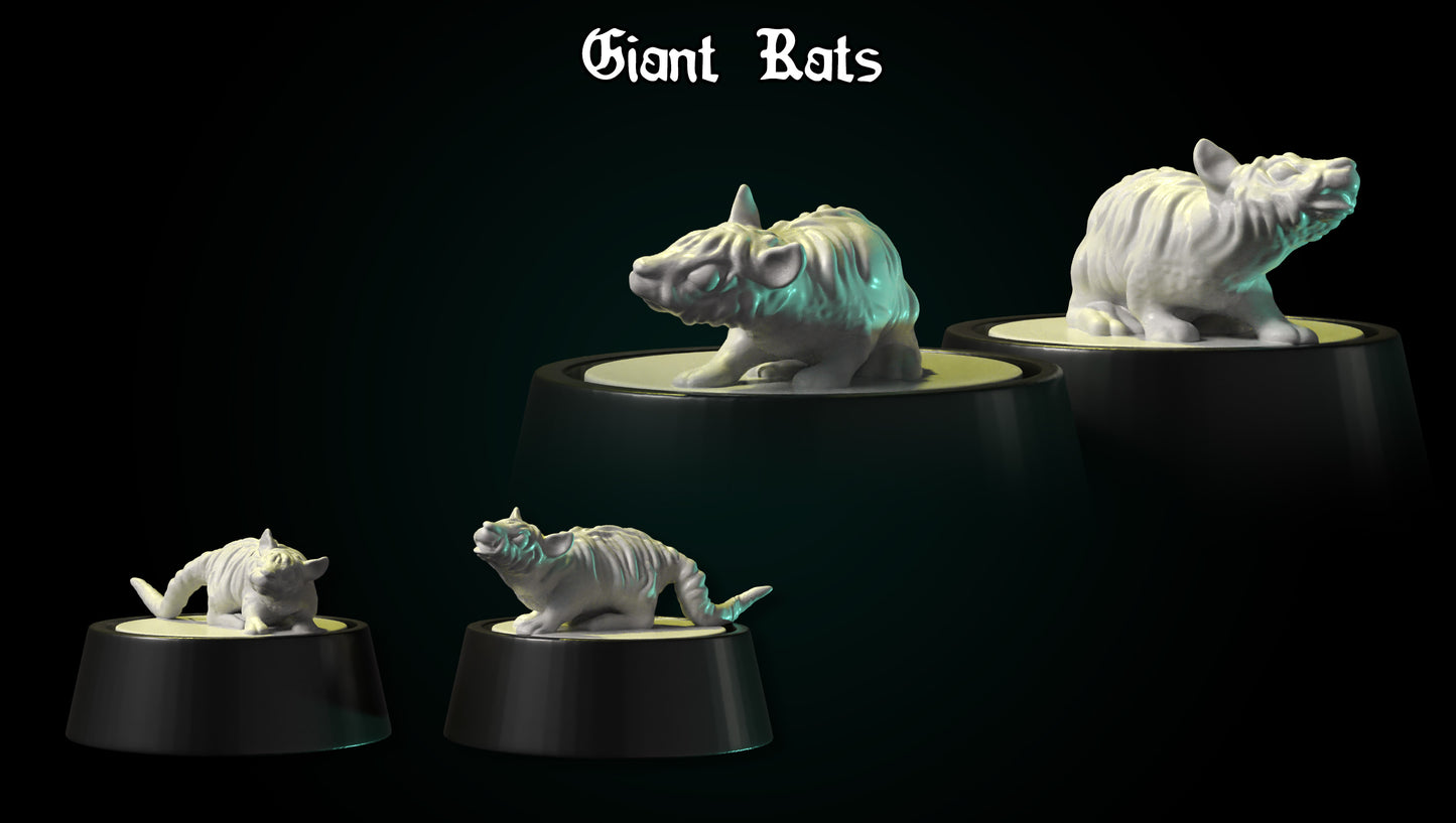Giant Rats by DDF Miniatures and Models