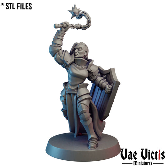 The Paladin by Vae Victis Miniatures
