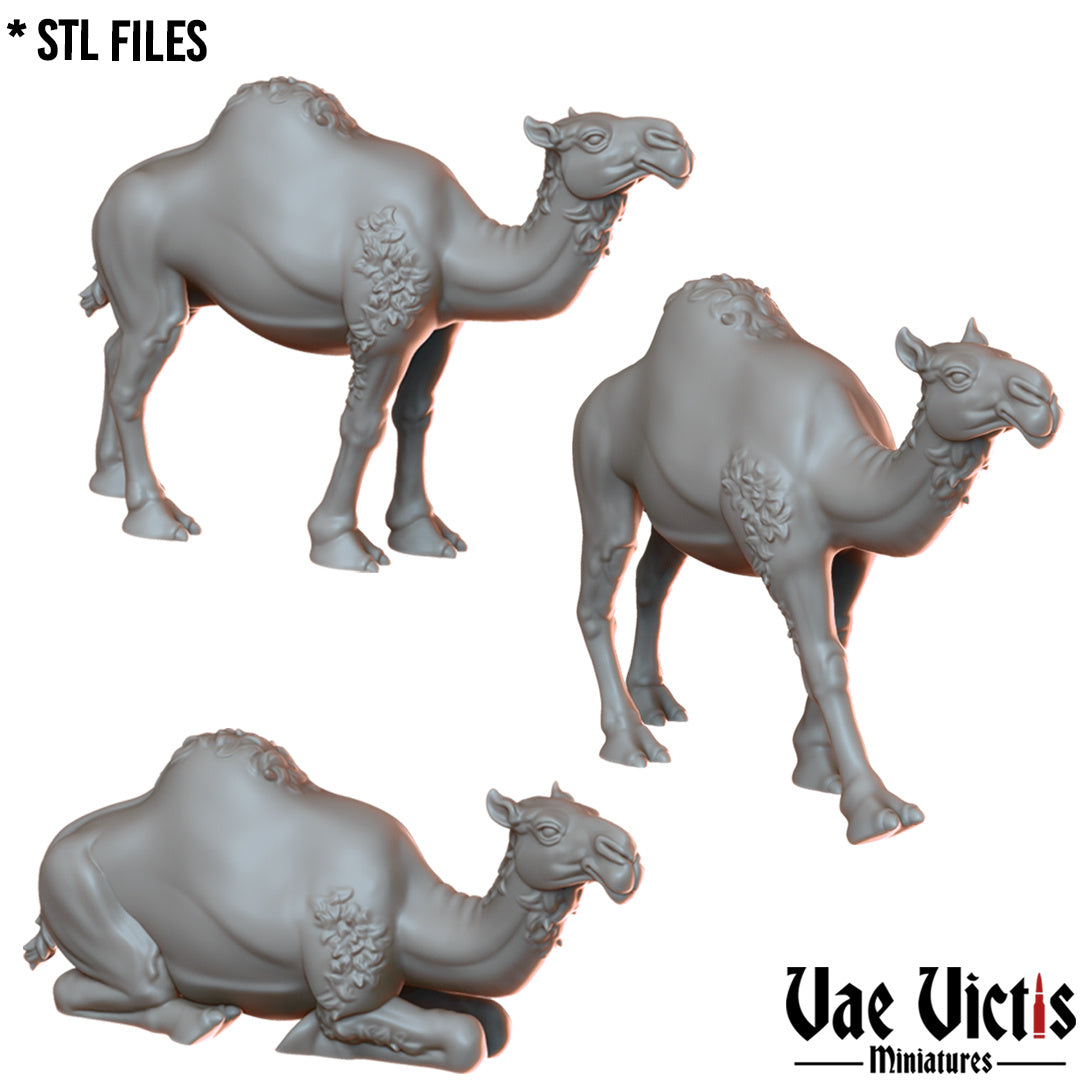 Camels by Vae Victis Miniatures