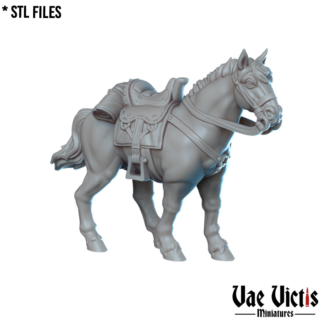 Horses by Vae Victis Miniatures