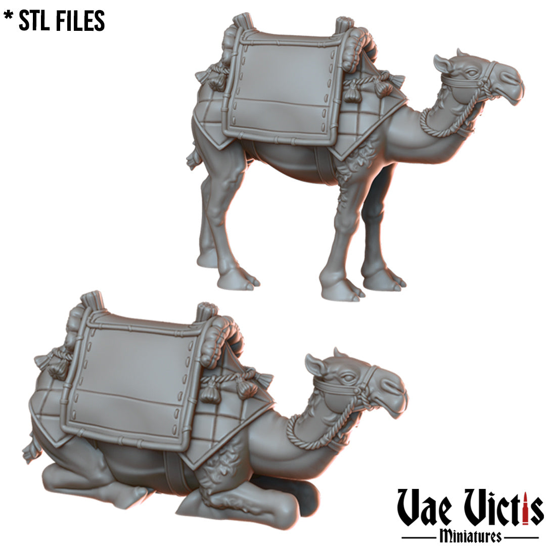 Camels by Vae Victis Miniatures