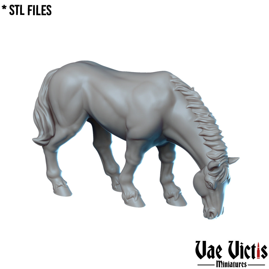 Horses by Vae Victis Miniatures