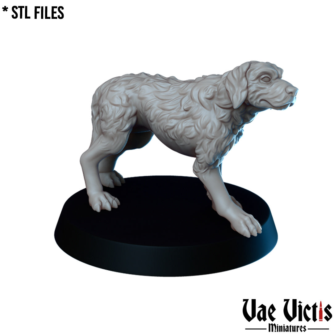 Dogs by Vae Victis Miniatures
