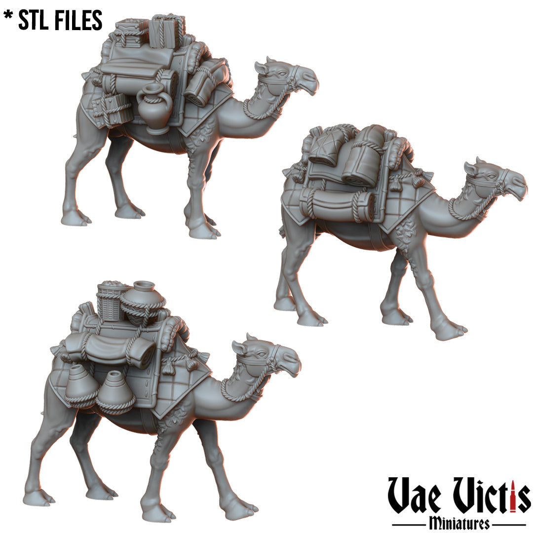 Camels by Vae Victis Miniatures