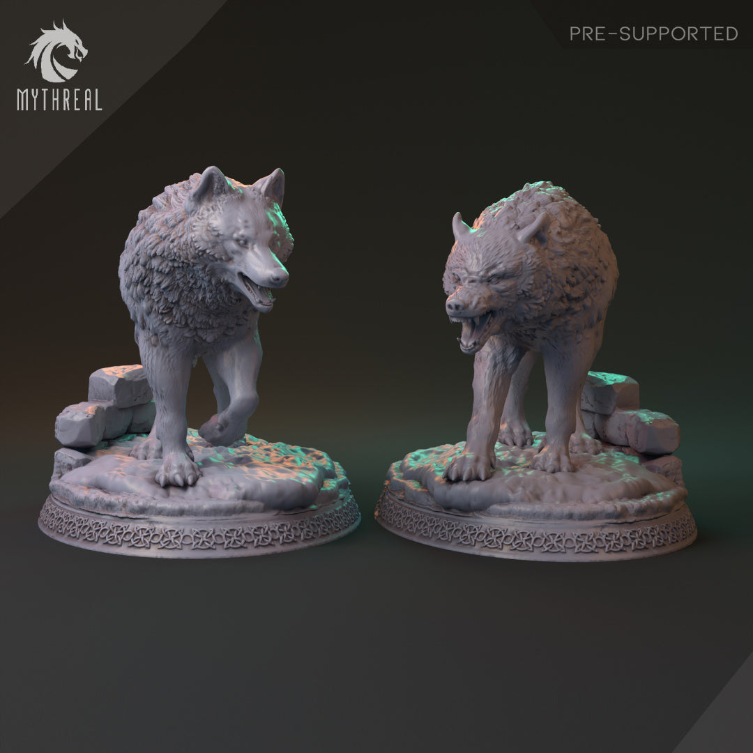 Kalt and Kaz by HardWitch-Games.
