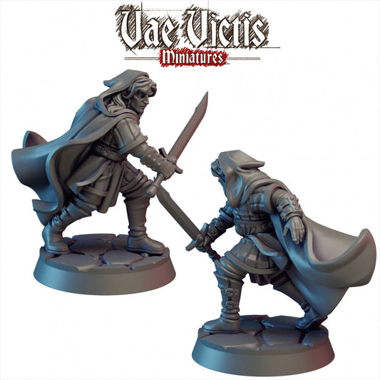 Elf Swordsman by Vae Victis Miniatures