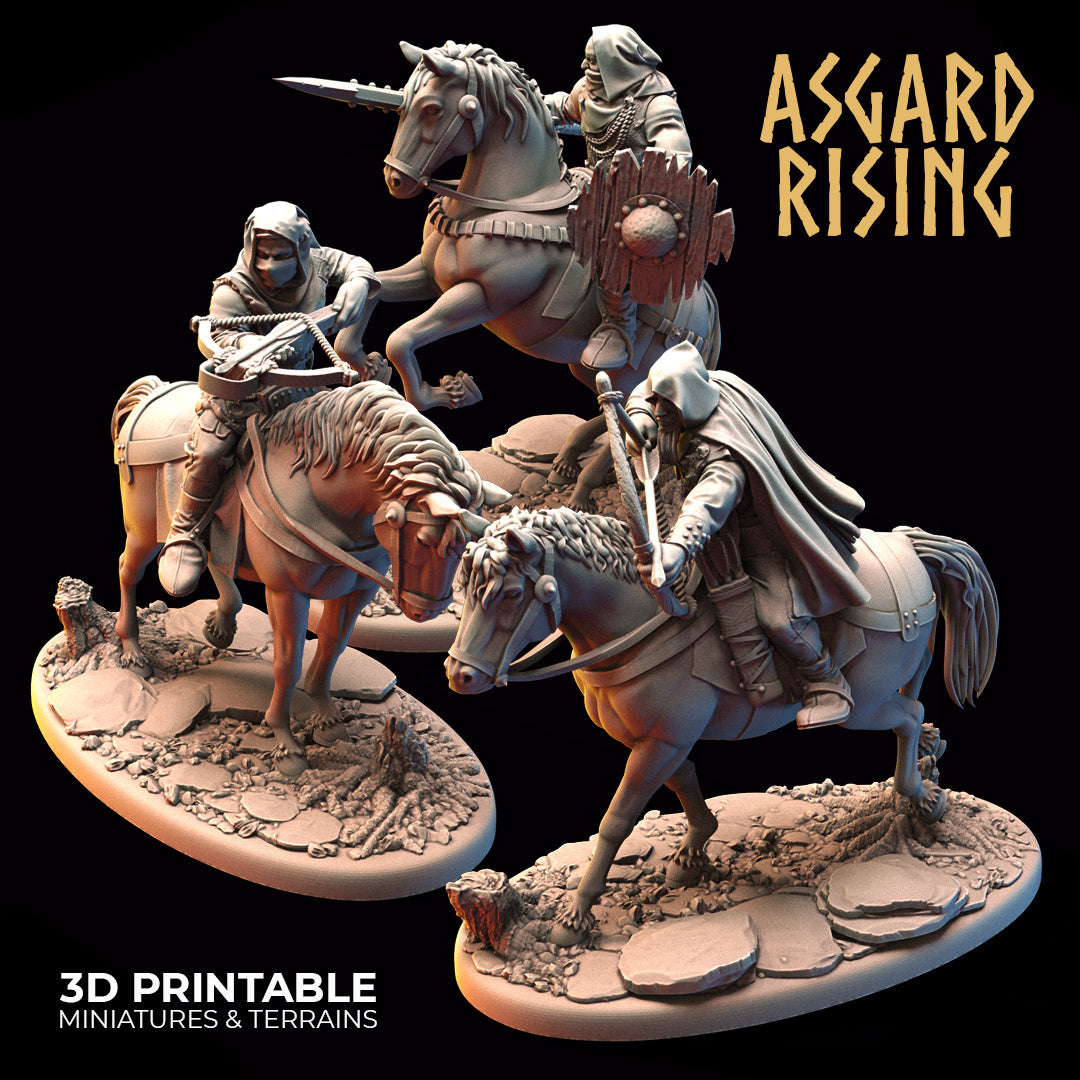 Bandit Rogue Riders