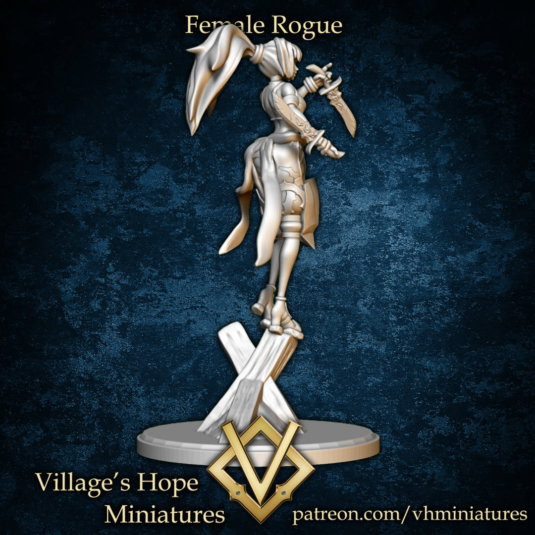 Female Rogue by Village's Hope Miniatures